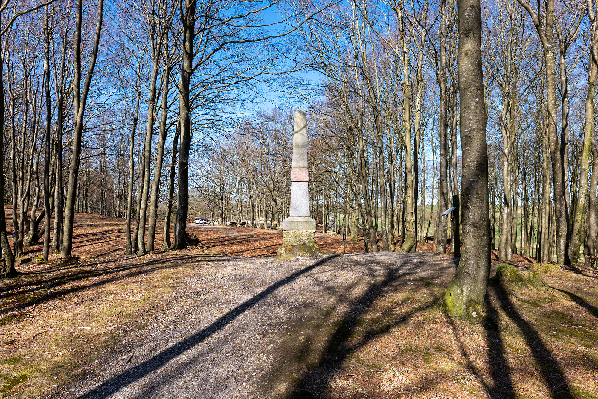 P1002796